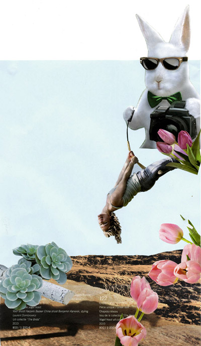 collage041